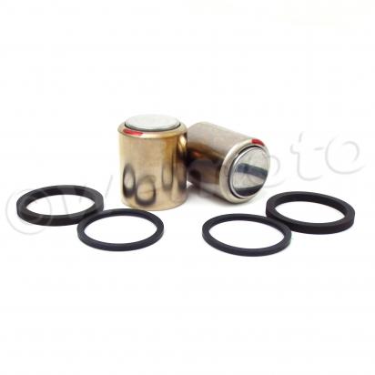 /BRAKE_PISTONS_AND_SEALS_KIT/10063592.jpg