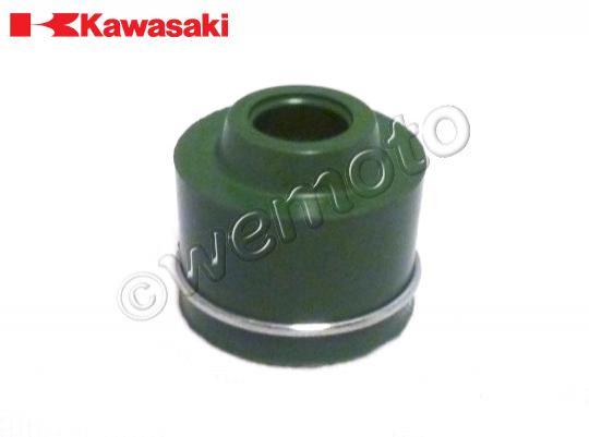 /OEM_KAWASAKI/10034384.jpg