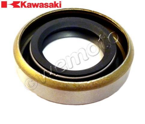 /OEM_KAWASAKI/10034801.jpg