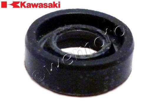 /OEM_KAWASAKI/10036685.jpg