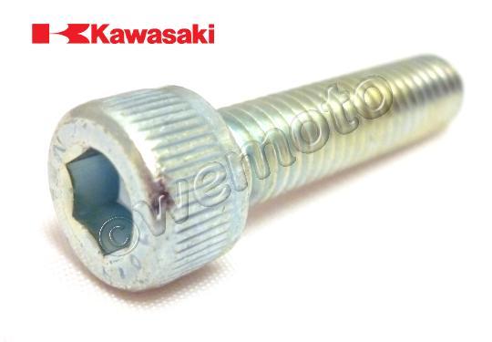 /OEM_KAWASAKI/10036711.jpg