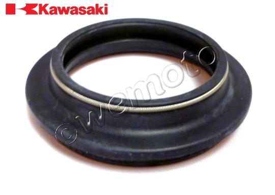 /OEM_KAWASAKI/10036732.jpg