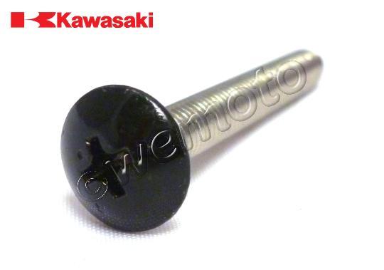 /OEM_KAWASAKI/10036752.jpg