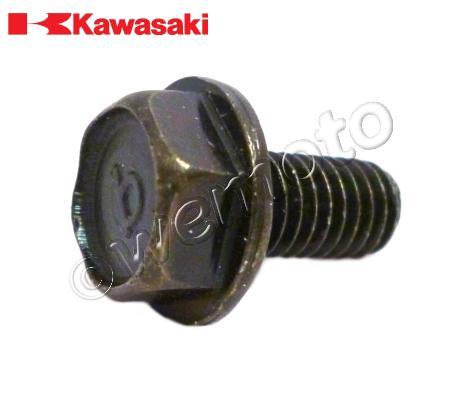 /OEM_KAWASAKI/10036822.jpg