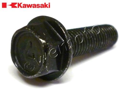 /OEM_KAWASAKI/10045482.jpg