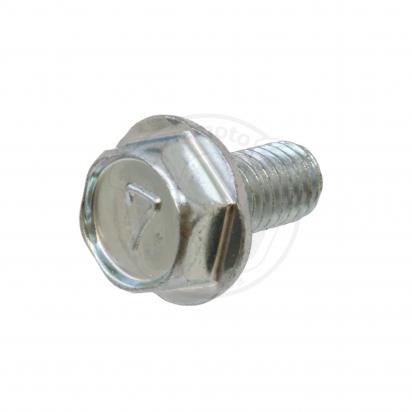 /OEM_KAWASAKI/wemoto-10076804.jpg