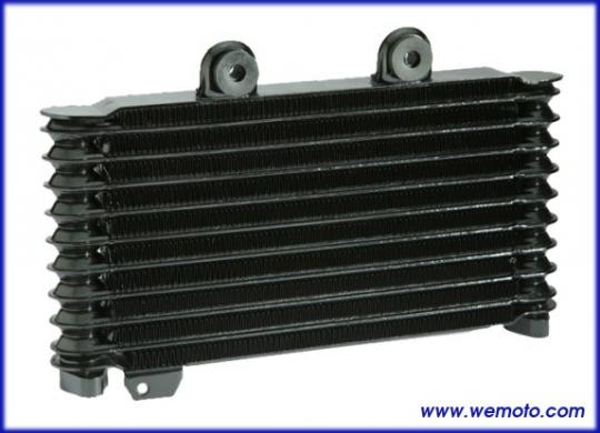 Suzuki GSF 600 SX Bandit 99 Oil Cooler