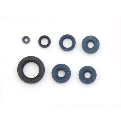 BMW F 650/650 ST (non ABS) 95 Engine Oil Seal Kit