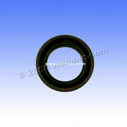 Aprilia RSV 1000 Mille 00 Wheel - Front - Dust Seal - Right