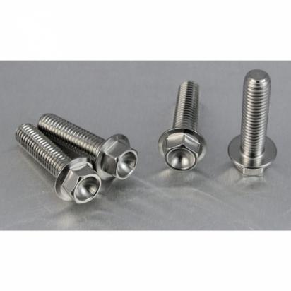 Suzuki GSF 600 SX Bandit 99 Front Caliper Retaining Bolt Kit - Stainless Steel