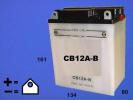 Honda XBR 500 H 87 Battery Pattern