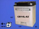 Ducati Replica Mille 85-87 Battery Pattern