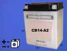 Kawasaki KLF 300 C1-C17 Bayou 89-05 Battery Pattern
