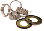 Honda NT 650 V2/V3/V4 Deauville 02-04 Tapered Headrace Bearing Set (Japan)