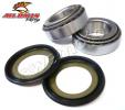Honda XLR 250 Baja MK1 RF/R2F/RH (MD22)(Japan) 85-86 Tapered Headrace Bearing Set (By All Balls USA)