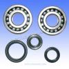 Suzuki RM 250 X 99 Joint de Vilebrequin et Kit de Roulement Principal