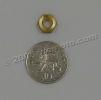 Nut Brass Metric M6 Thread  Uses 10mm Spanner