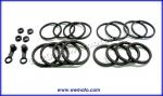 Suzuki GSXR 750 M Slingshot 91 Rebuild Kit Full Seals Caliper - Front