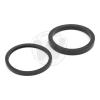 BMW R 850 GS   (Std and ABS models) 96 Brake Piston Seal and Dust Seal Rear Brake Small