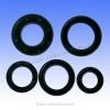 Aprilia SR 50 (Rear Disc) (DiTech Suzuki Engine) 01-04 Engine Oil Seal Kit