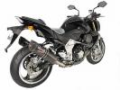 Kawasaki Z 1000 ABS (ZR 1000 C9F) 09 DEVIL MASTER Carbon Silencer - E-Marked