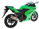 Kawasaki EX 250 R K8F/K9F Ninja  08-09 DEVIL MASTER Stainless Silencer - Not Homologated