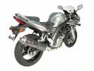 Suzuki SV 650 K8 08 Silencieux Magnum Devil - Fibre de Carbone - de Marque-E