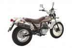 Suzuki RV 125 K6/K7/K8 Van Van 06-08 DEVIL RACER Carbon Silencer - E-Marked