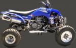 Yamaha YFM 450 FGW/FGX/FGY Grizzly 07-09 Silencieux Quad/ATV Marving - Ovale