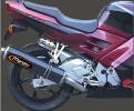 Honda CBR 600 FV/FW 97-98 Marving SUPERLINE Oval Silencer - Carbon Fibre - E-Marked