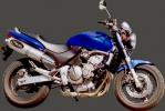Honda CB 600 F W/X Hornet (PC34) 98-99 Marving SUPERLINE Oval Silencer - Titanium - E-Marked