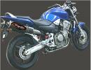 Honda CB 900 F2/F3 Hornet 02-03 Marving SUPERLINE Oval Silencers Pair - Carbon Fibre - E-Marked