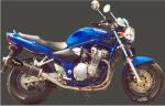 Suzuki GSF 600 SK1/SK2/SK3 Bandit 01-03 Marving SUPERLINE Oval Silencer - Carbon Fibre - E-Marked