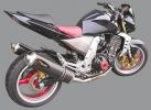 Kawasaki Z 1000 (ZR 1000 A1/A2/A3) 03-05 Marving SUPERLINE Oval Silencers Pair - Carbon Fibre - E-Marked