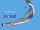 Honda CBR 600 FY 00 Collecteurs Motad  - Inox