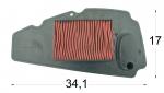 Honda NSS 250 AX5/AX6 Forza Z (ABS) 05-06 Air Filter