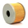 Benelli Oil Filter as 169124320000