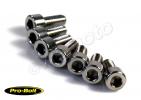Kawasaki GPX 750 R (ZX 750 F1-F3) 87-89 Fuel Cap Fixing Kit - Stainless Steel (Pro-Bolt)