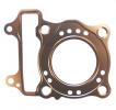 Honda SH 125 i 13 Cilinderkop Dichting