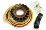 Kawasaki KR-1S (KR 250 C2/C3) 90-92 Générateur - Stator - Electrex