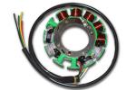 Husqvarna TE 410 06 Generator - Stator - Alternative 