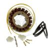 Honda FJS 600 Silverwing Scooter A4 (ABS models) 04 Dynamo - Alternator - van Electrex