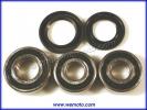 Kawasaki ZX 10R (ZX 1000 C1/C2) 04-05 Rear Wheel Bearing Kit with Dust Seals