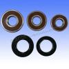 Honda CBR 929 Fireblade (US Market) 00-01 Rear Wheel Bearing Kit with Dust Seals