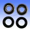 Suzuki DL 1000 K4/K5 V-Strom 04-05 Front Wheel Bearing Kit with Dust Seals