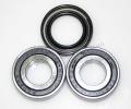 Suzuki XF 650 X/Y Freewind 00-02 Front Wheel Bearing Kit with Dust Seals