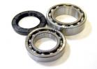 Yamaha YFM 350 ERE/ERF 93-94 Kit de Roulements Roue Arrière avec Caches Poussière