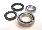 Yamaha YFM 450 FAR/FAS Kodiak (5ND3/4) 03-04 Rear Wheel Bearing Kit with Dust Seals