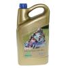 Kawasaki ZX-6R (ZX 600 G1) 98 Rock Oil Synthetic 4T Oil 4 Litres