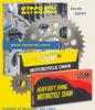 Kawasaki GPX 750 R (ZX 750 F1-F3) 87-89 Izumi Chain and JT Sprocket Kit